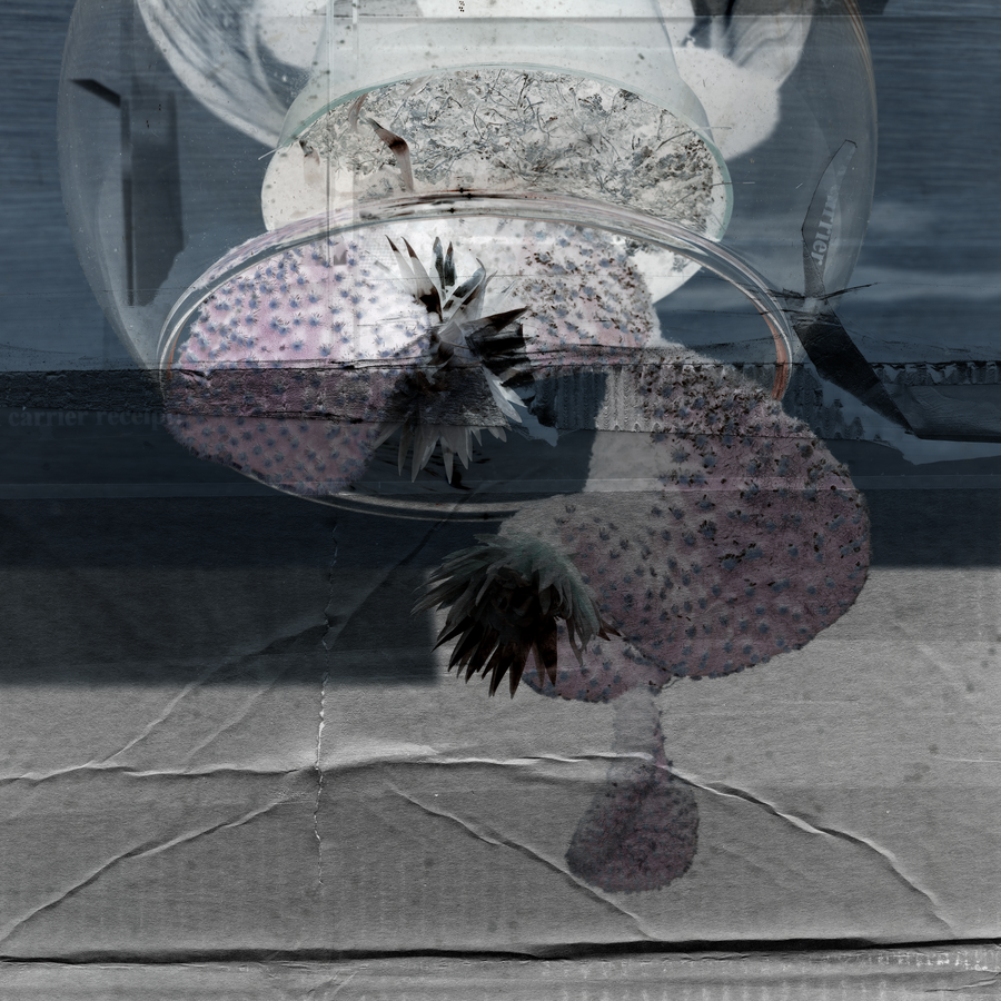 FUSE(X)III-07_06052019_006