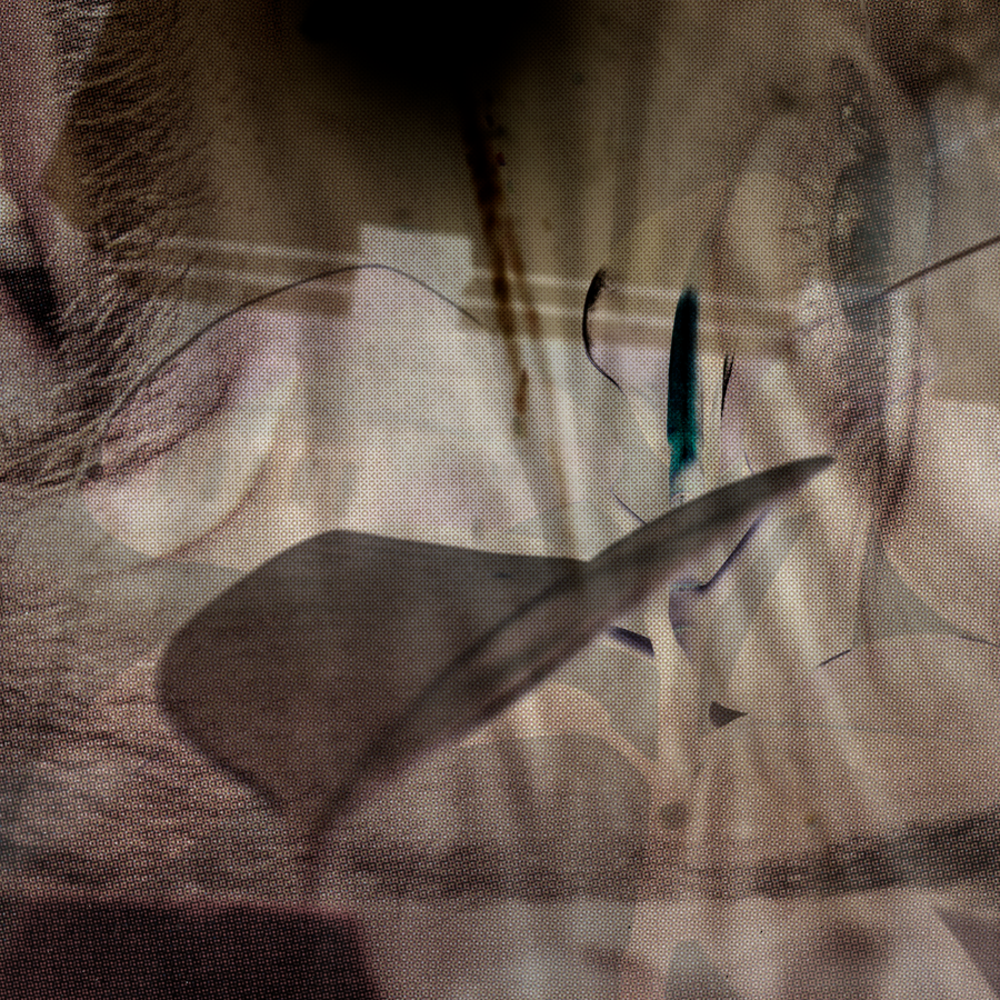 FUSE(X)III-13_06052019_007