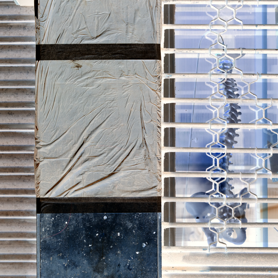 PARAL·LAXI-004_08032009_004