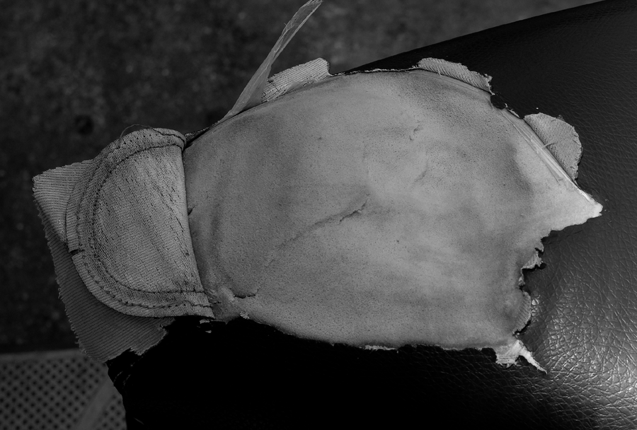 SCARS-001_19072009_013