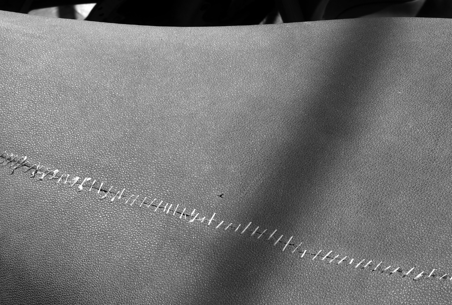 SCARS-001_19072009_025