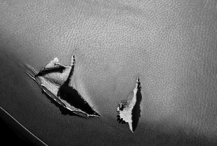 SCARS-002_20072009_007