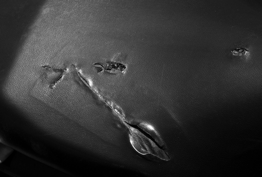 SCARS-003_21072009_022