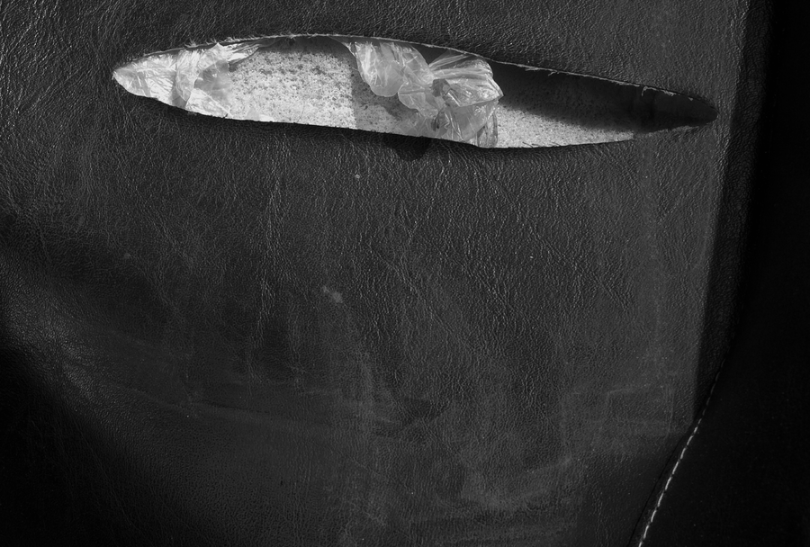 SCARS-006_19072009_011