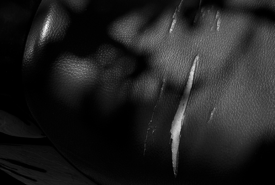 SCARS-007_19072009_017