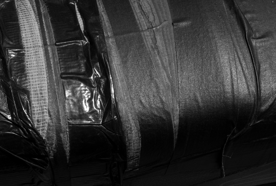 SCARS-009_21072009_023