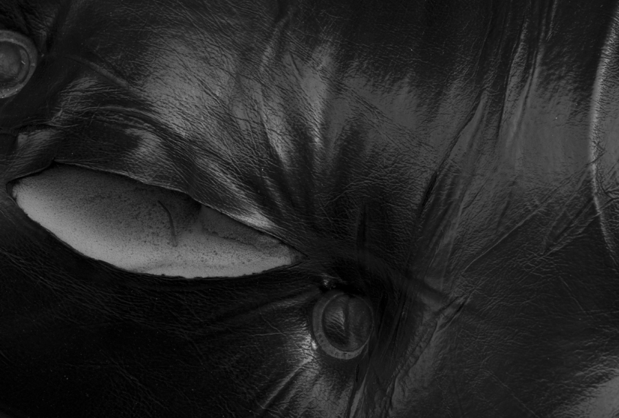 SCARS-010_01112015_036