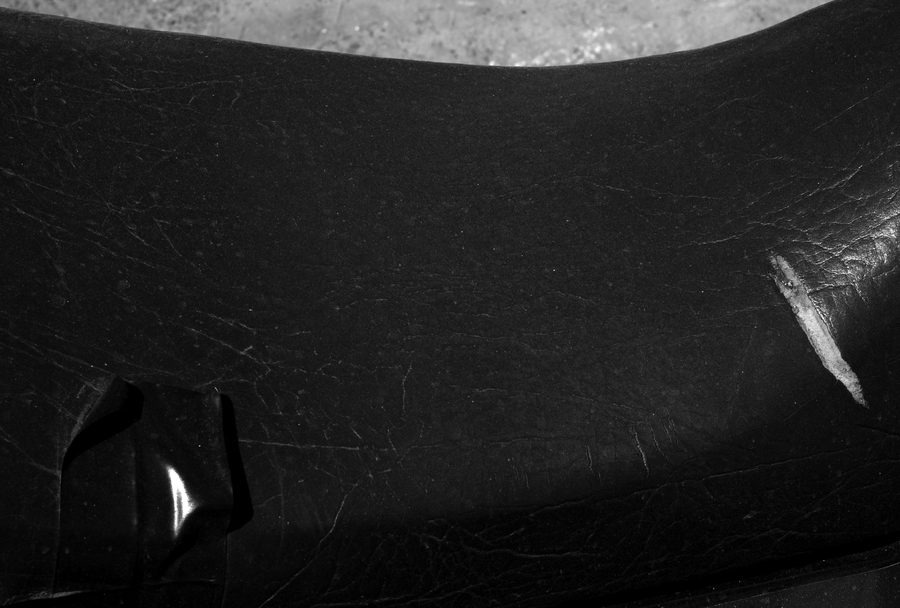 SCARS-011_20072009_010