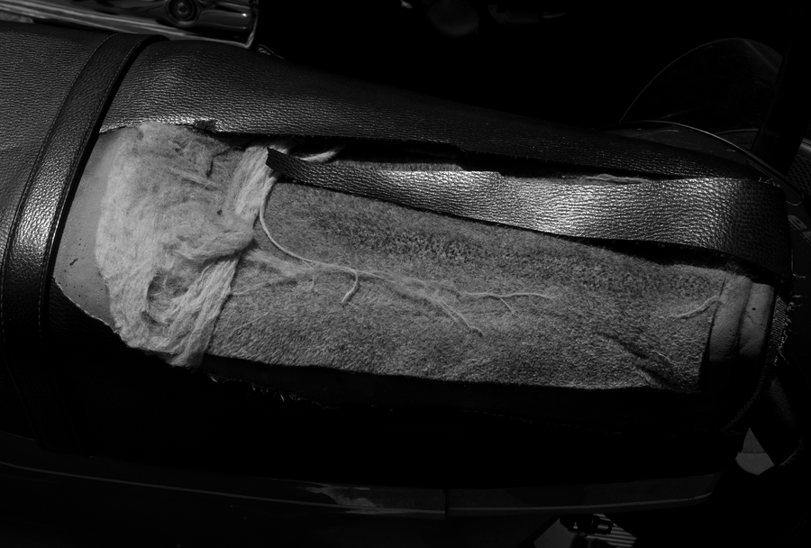 SCARS-012_21072009_004