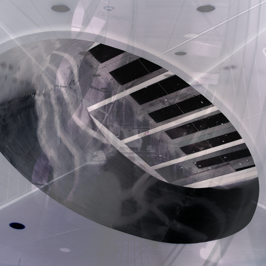 SPECULUM-002_19022010_001