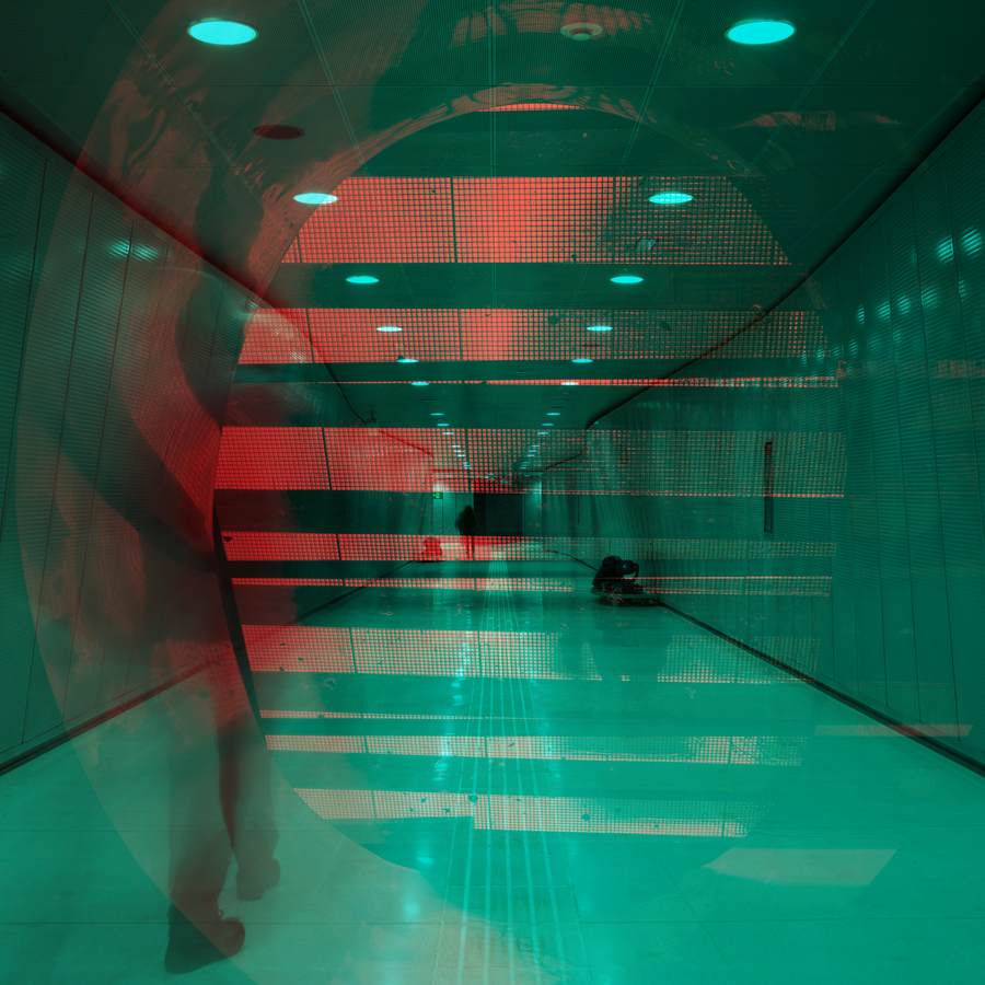 SPECULUM-004_19022010_004