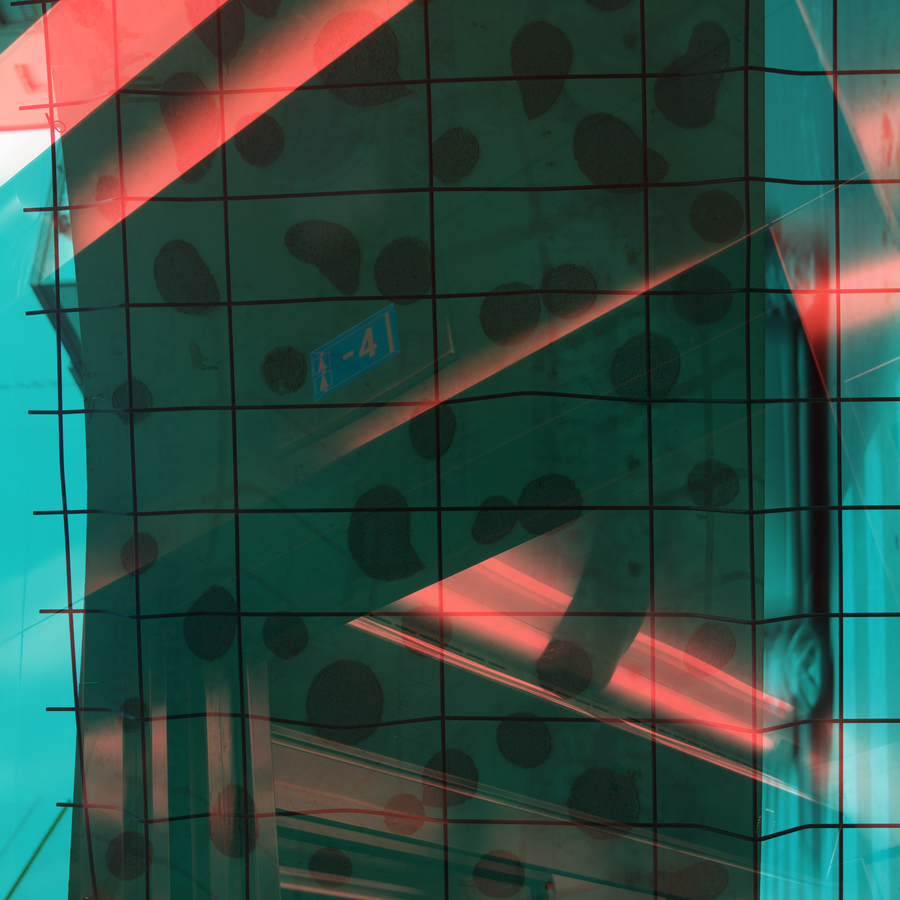 SPECULUM-012_19022010_013