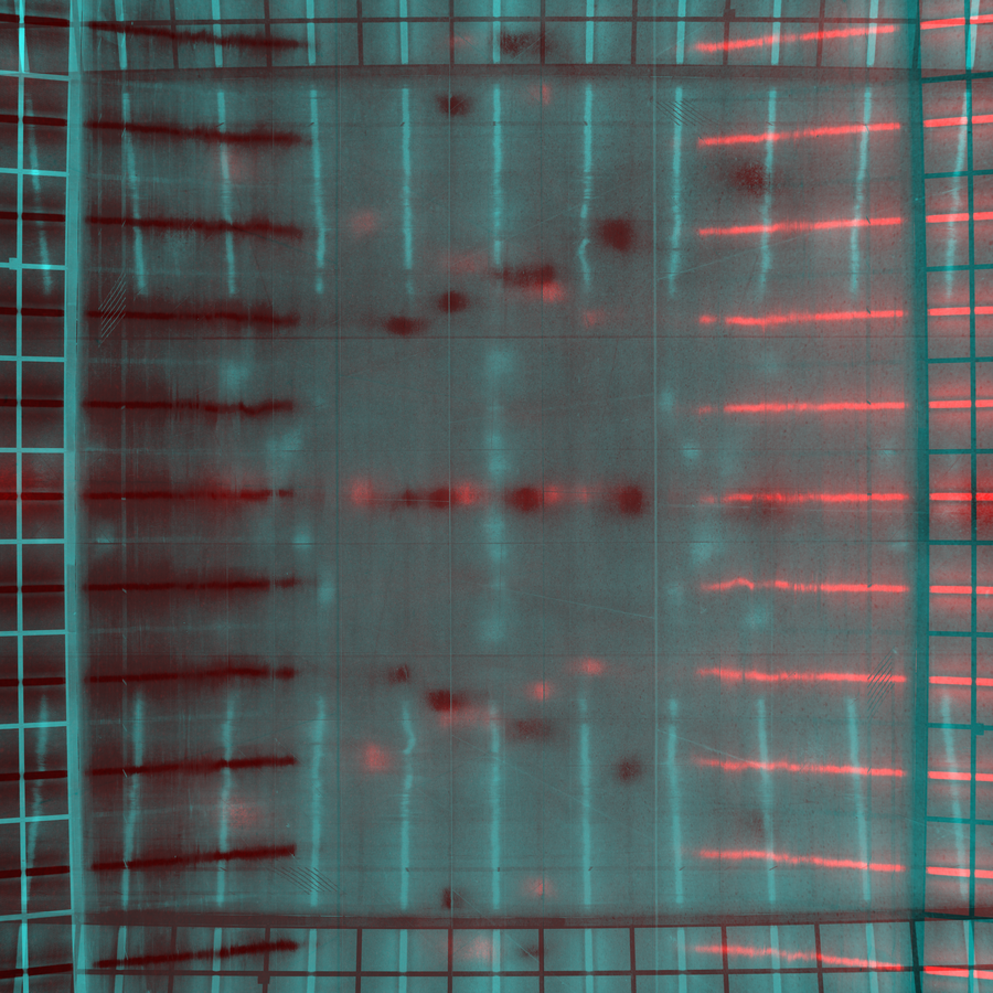 SPECULUM-013_19022010_018